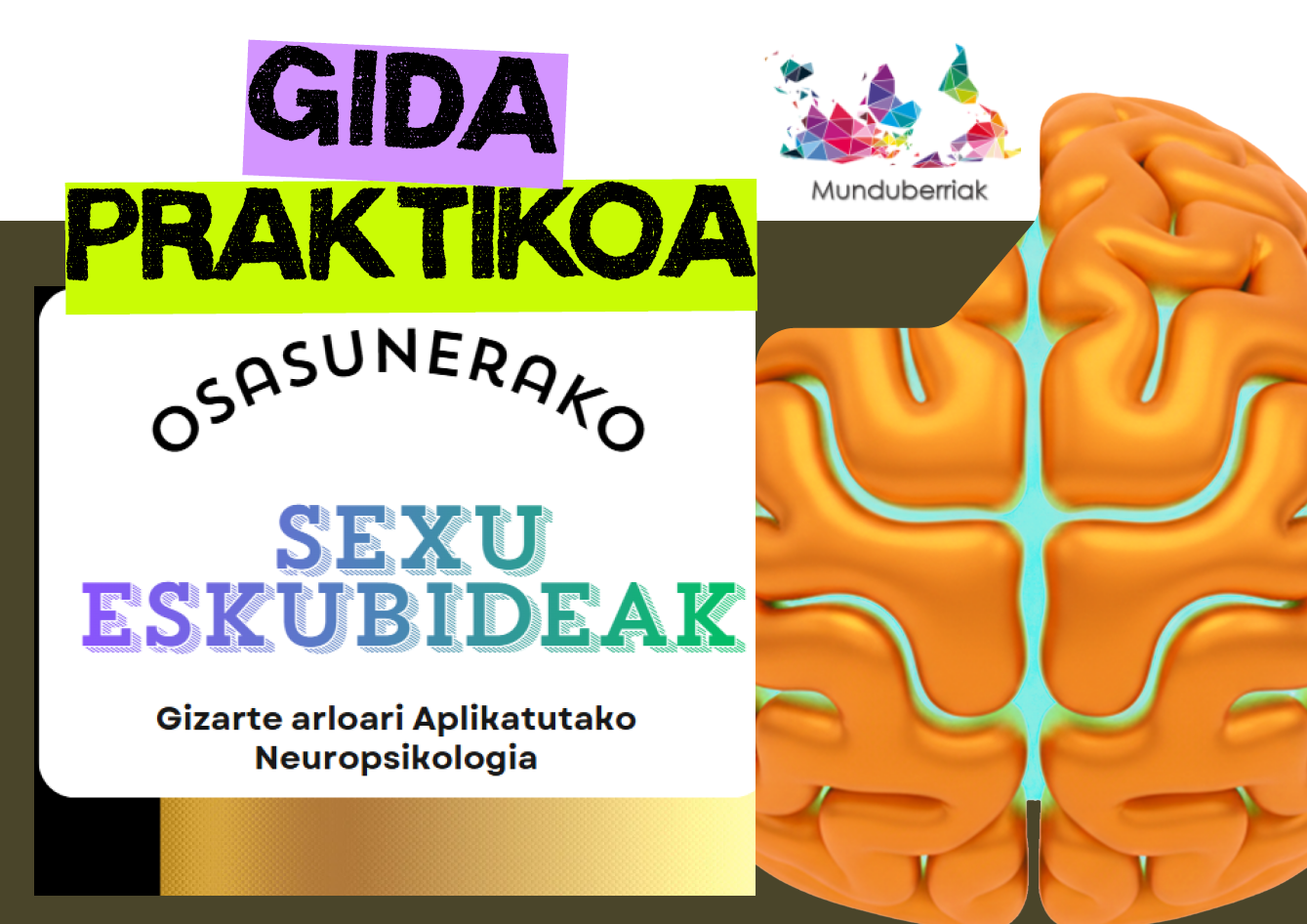 Neuropsikologia - Gida Praktikoa