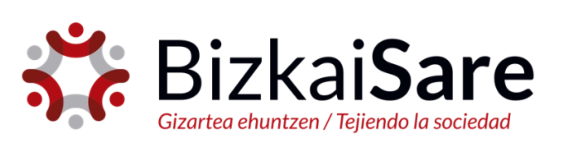 Logo Bizkai SARE